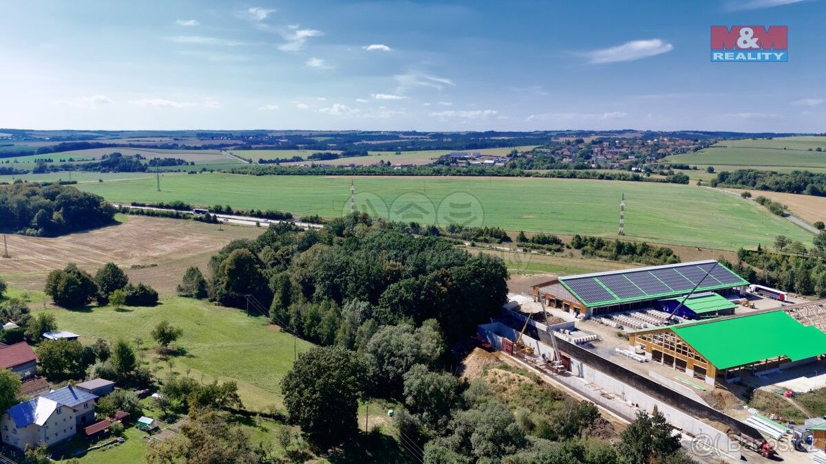 Prodej les - Klimkovice, 742 83, 10 089 m²
