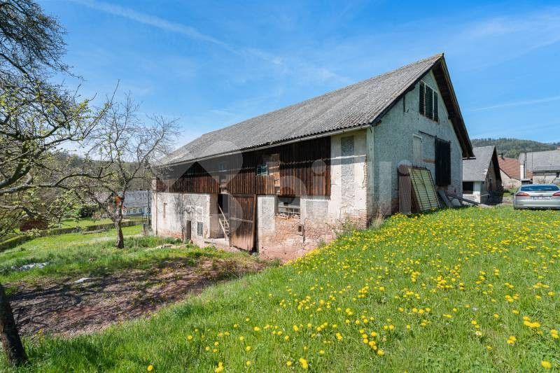 Ostatní, Ruprechtice, Meziměstí, 700 m²