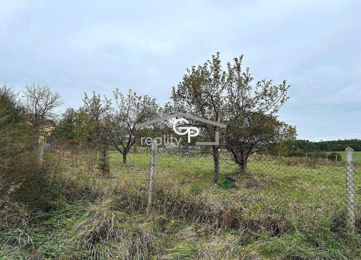 Prodej pozemek pro bydlení - Netolice, 384 11, 3 481 m²