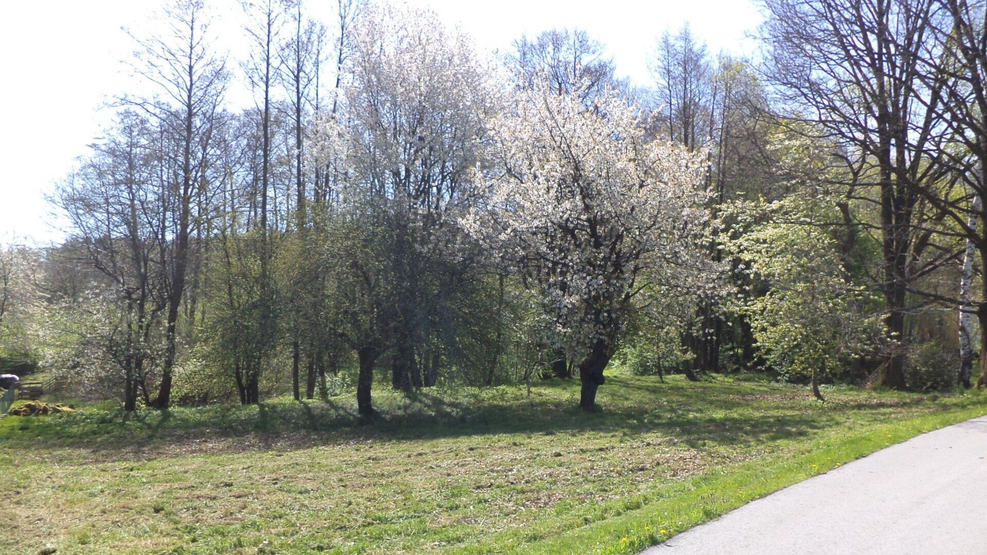 Pozemky pro bydlení, Kondrač, Kamenná, 2 542 m²