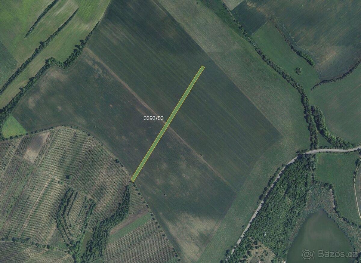 Prodej zemědělský pozemek - Čejkovice, 696 15