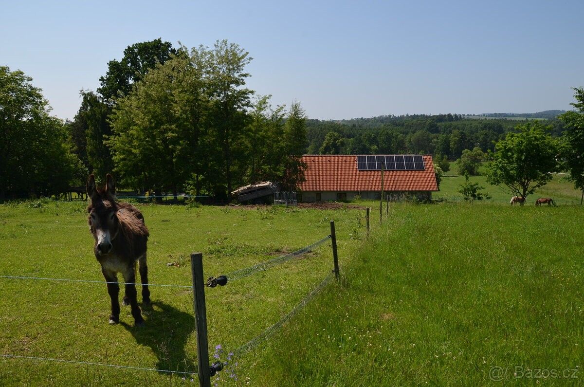 Ostatní, Kardašova Řečice, 378 21, 37 992 m²