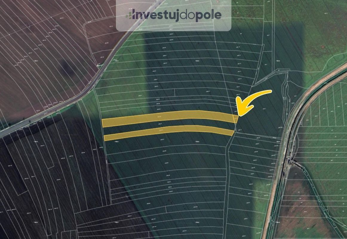 Prodej zemědělský pozemek - Sadská, 3 181 m²