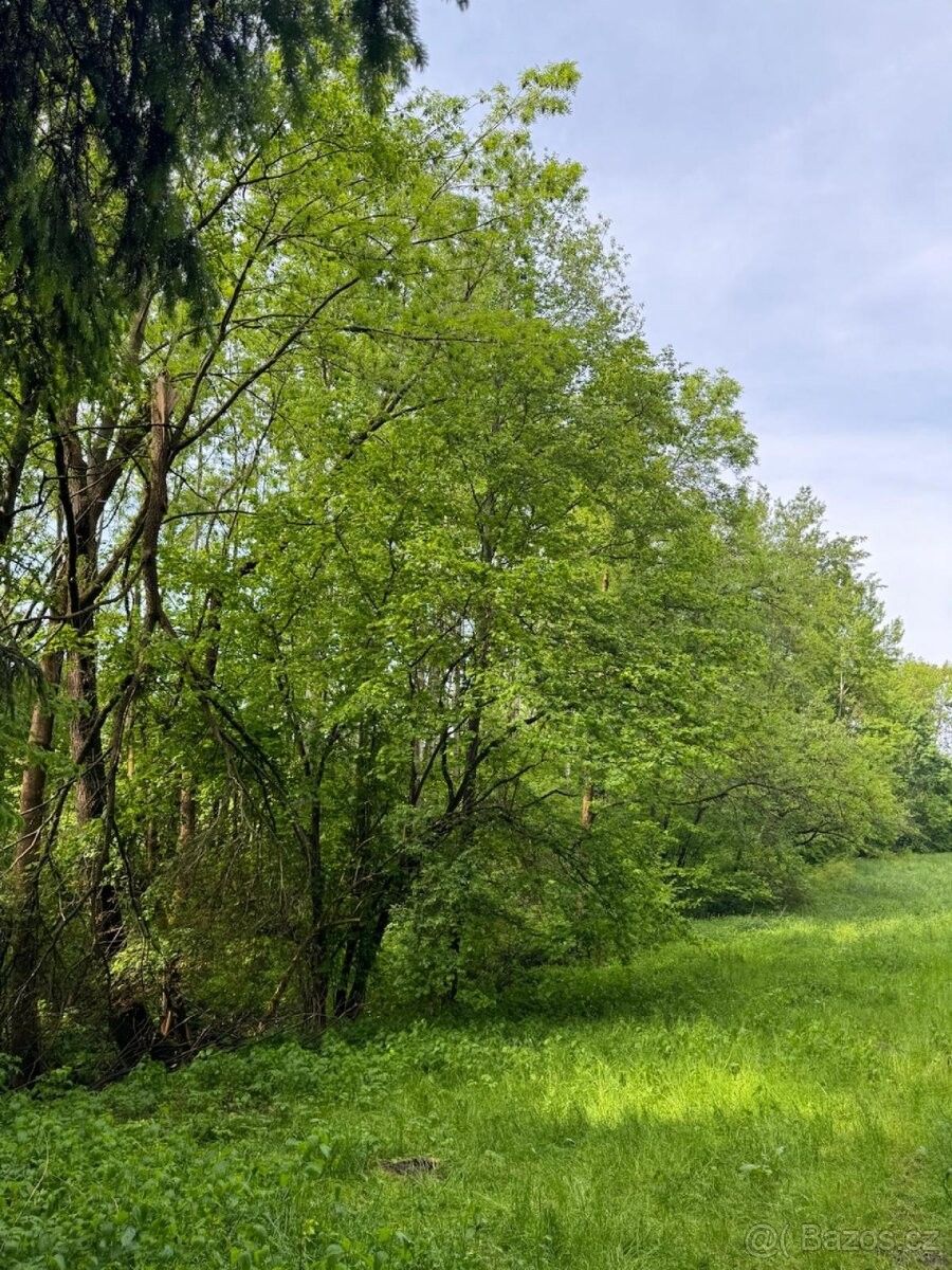Lesy, Český Dub, 463 43, 10 398 m²