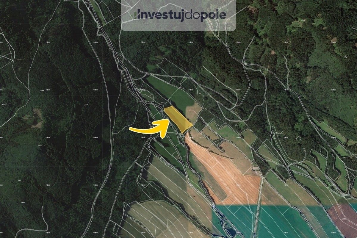 Prodej louka - Rapotín, 7 040 m²
