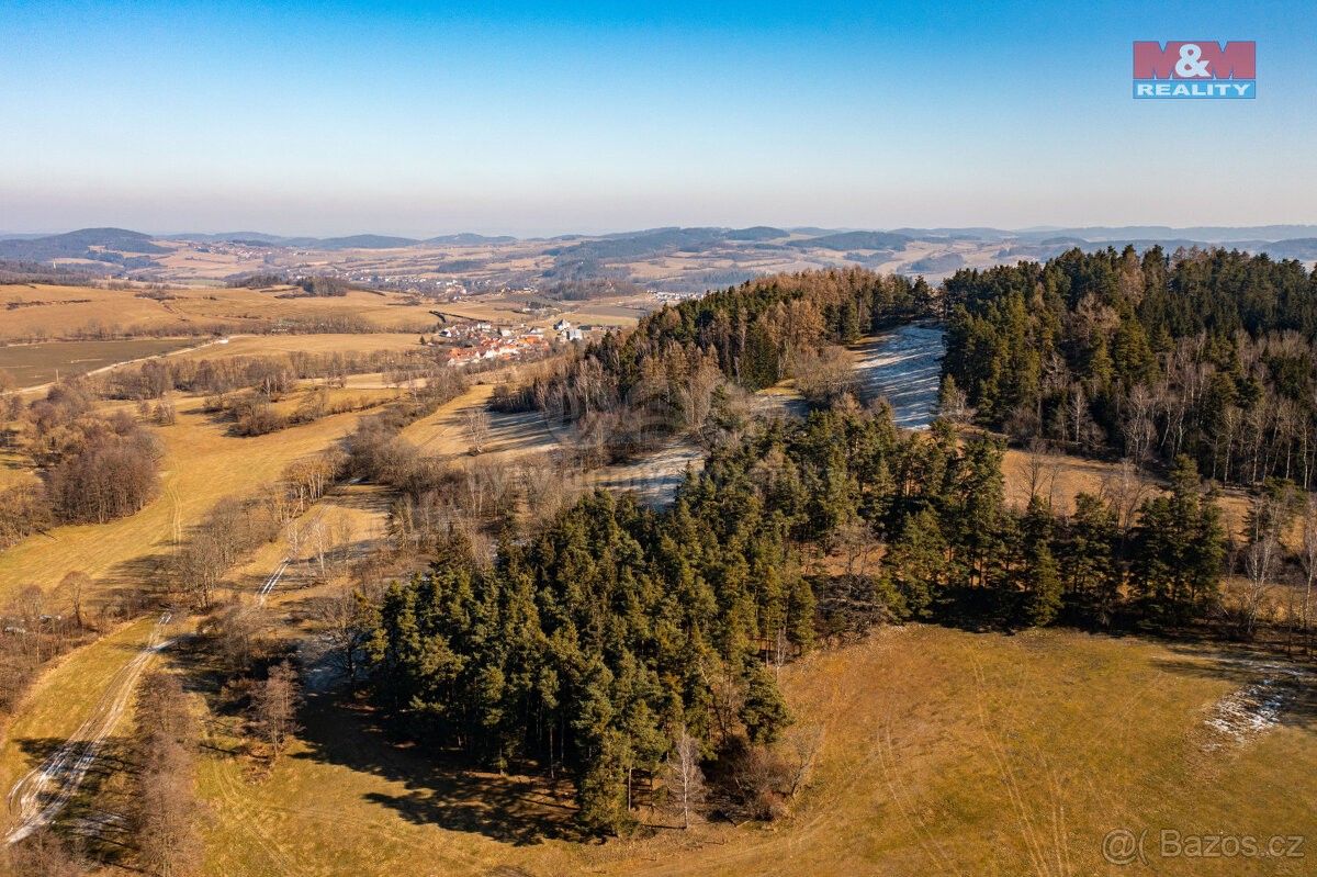Lesy, Volyně, 387 01, 42 761 m²