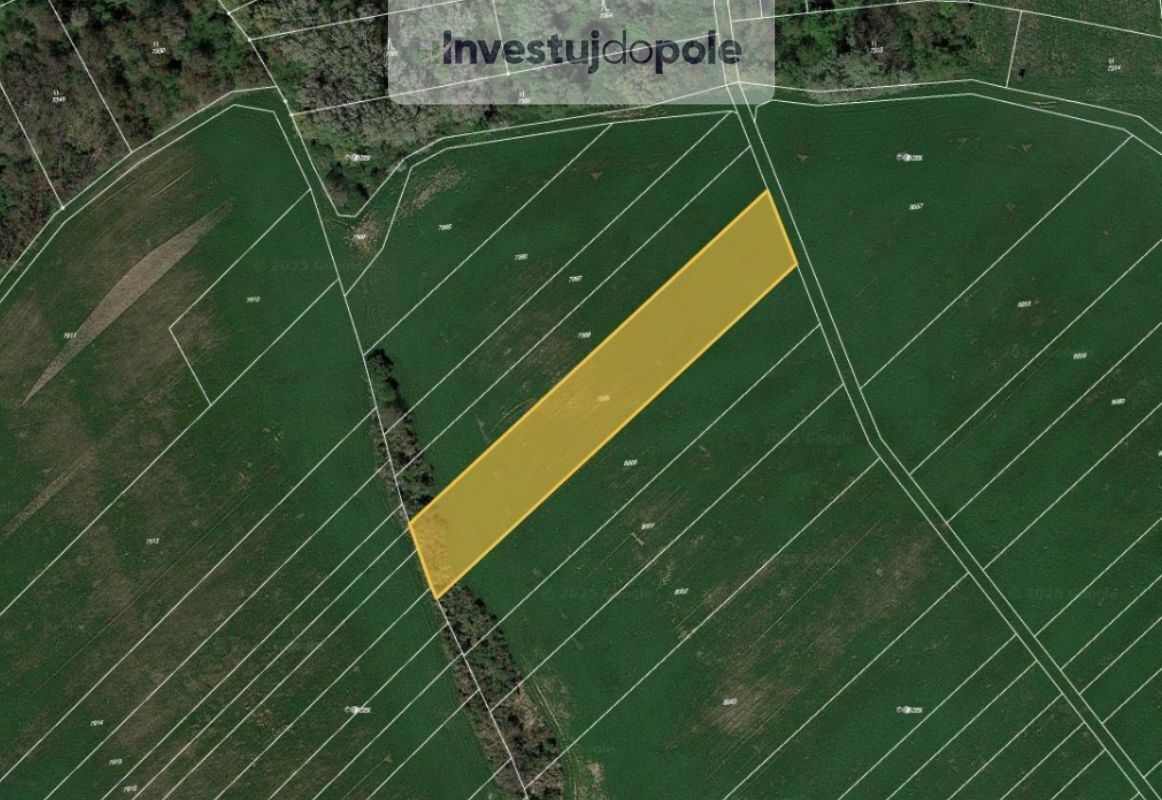 Zemědělské pozemky, Velké Němčice, 4 736 m²