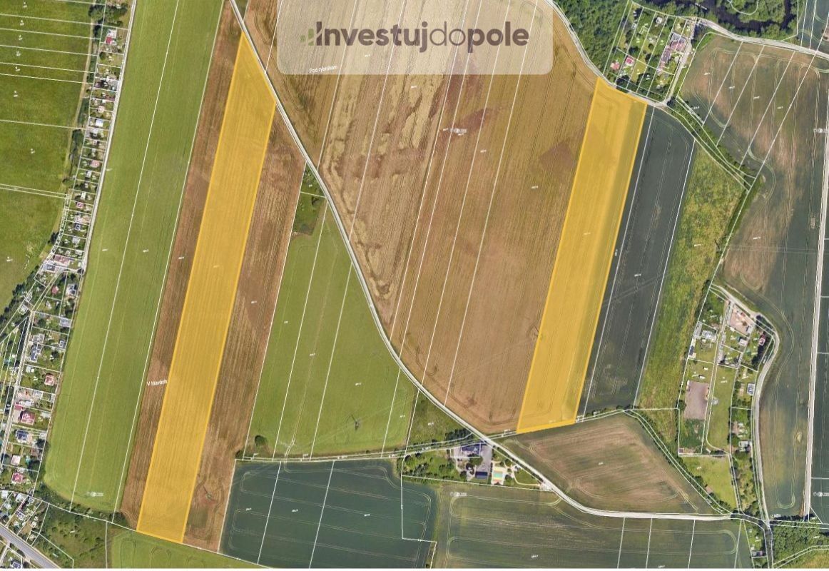Zemědělské pozemky, Plzeň 7-Radčice, Plzeň, 3 943 m²