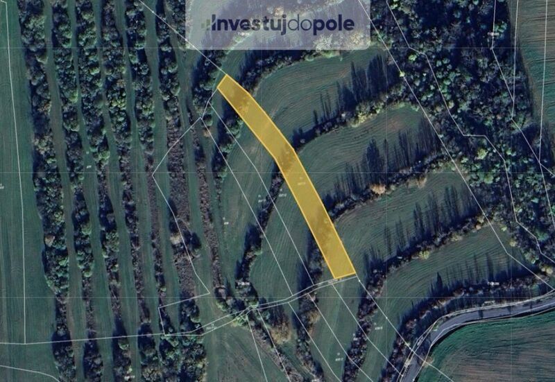Louky, Boršice u Buchlovic, 687 09, 3 071 m²