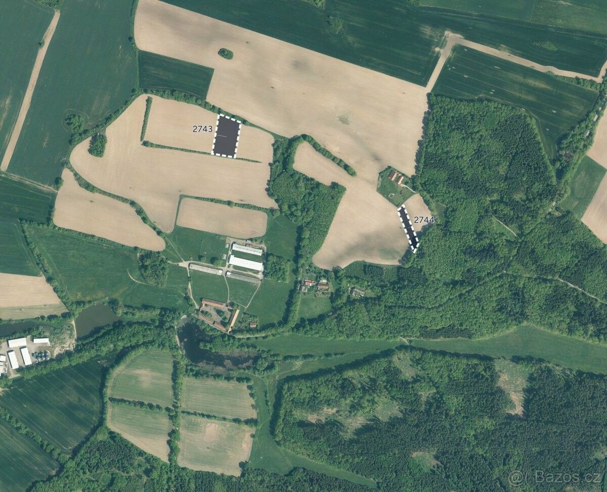 Prodej zemědělský pozemek - Čimelice, 398 04