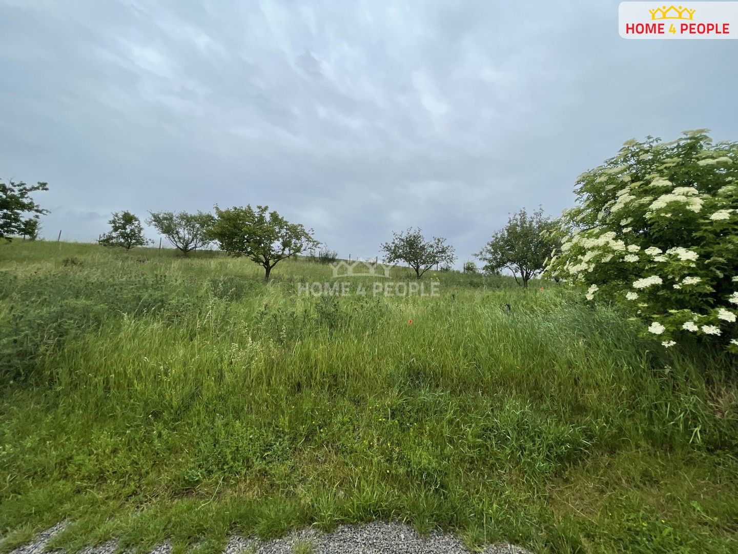 Prodej pozemek pro bydlení - Na Višňovce, Trubín, 1 255 m²
