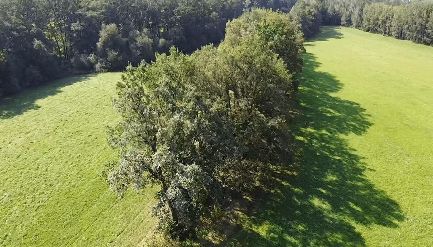 Louky, Nedabyle, 4 295 m²