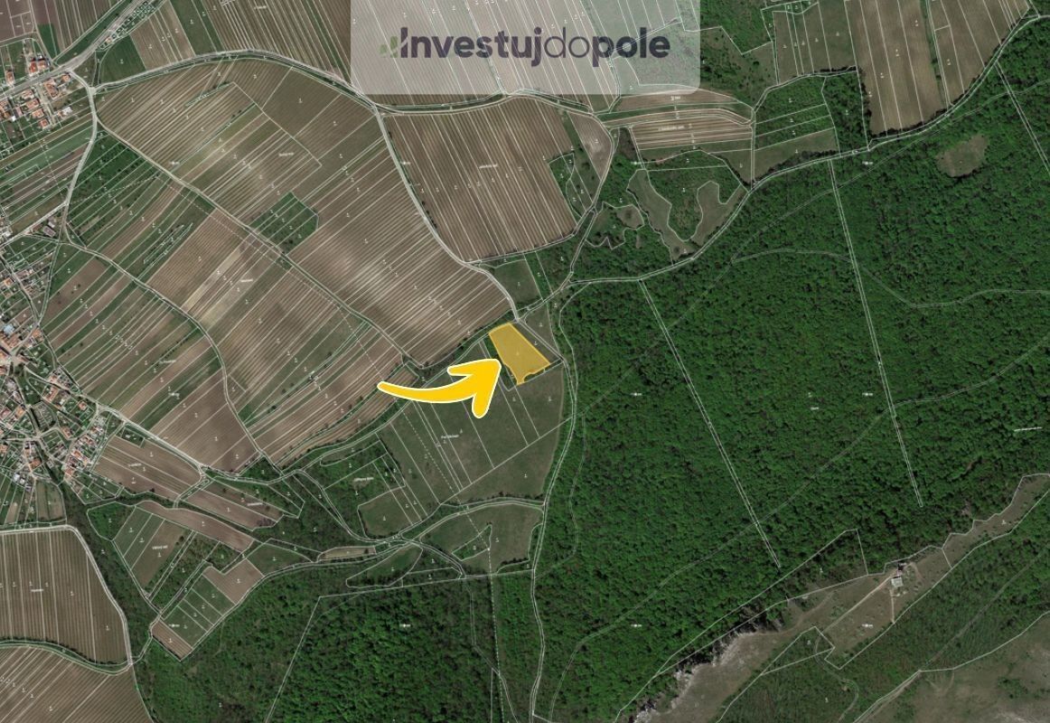 Prodej louka - Horní Věstonice, 5 123 m²