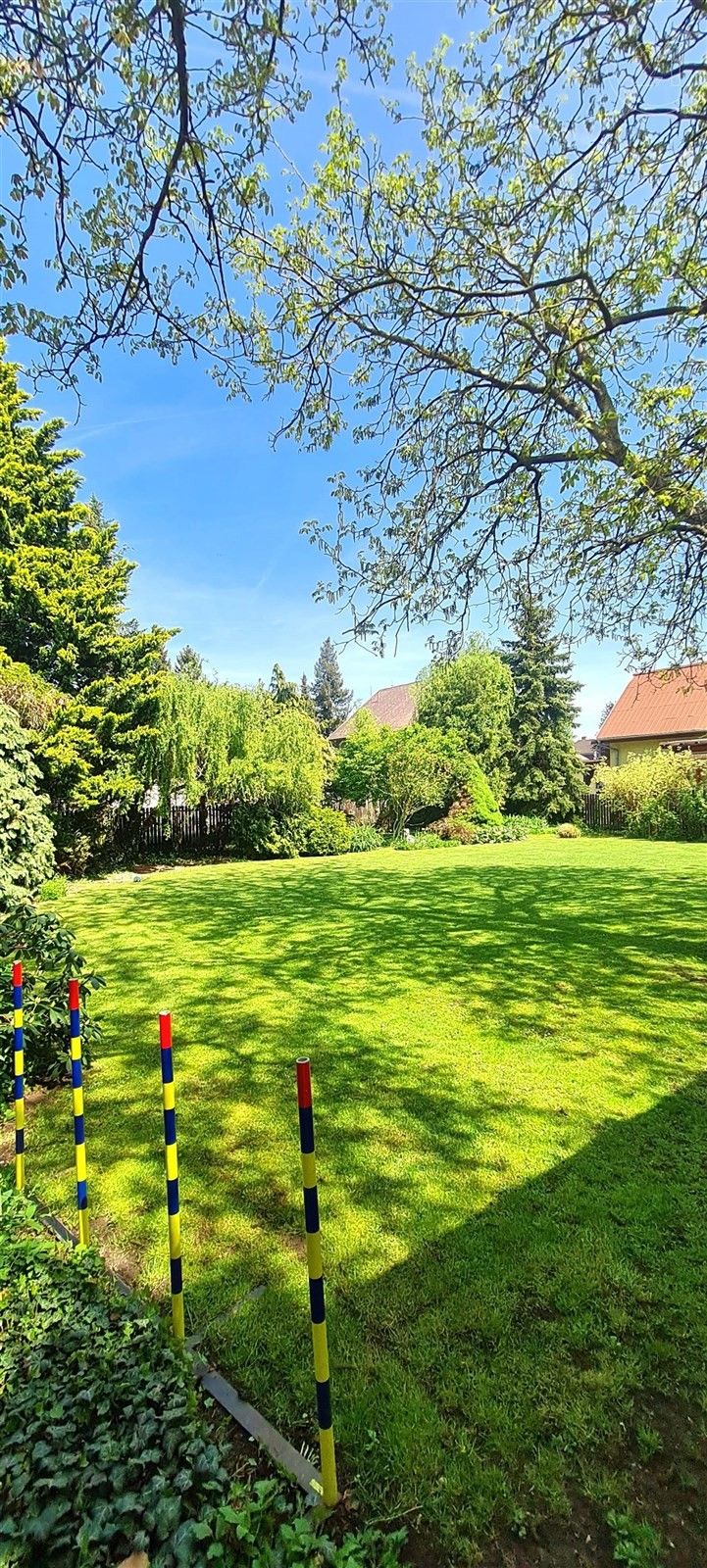 Ostatní, Novosibřinská, Praha, 216 m²