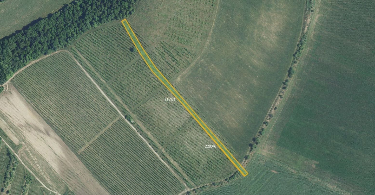 Ostatní, Brumovice, 4 866 m²