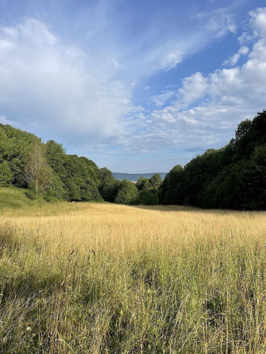 Lesy, Moravská Třebová, 571 01, 12 944 m²