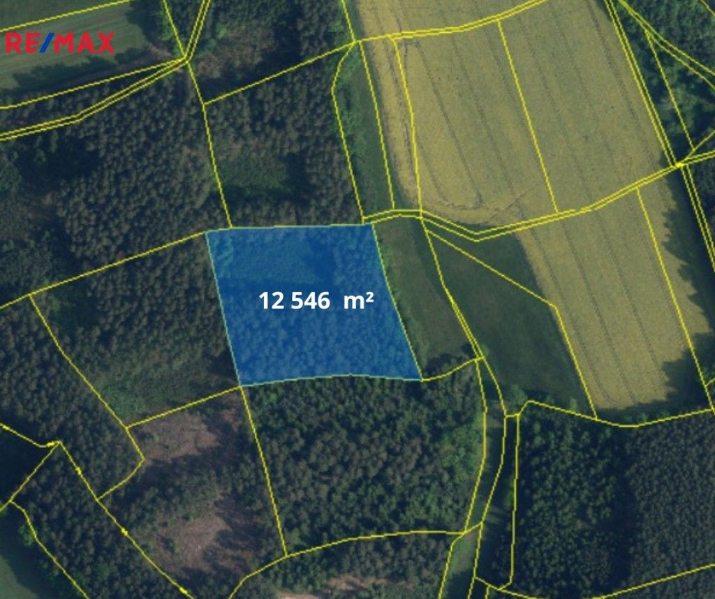 Lesy, Bílá, 30 155 m²