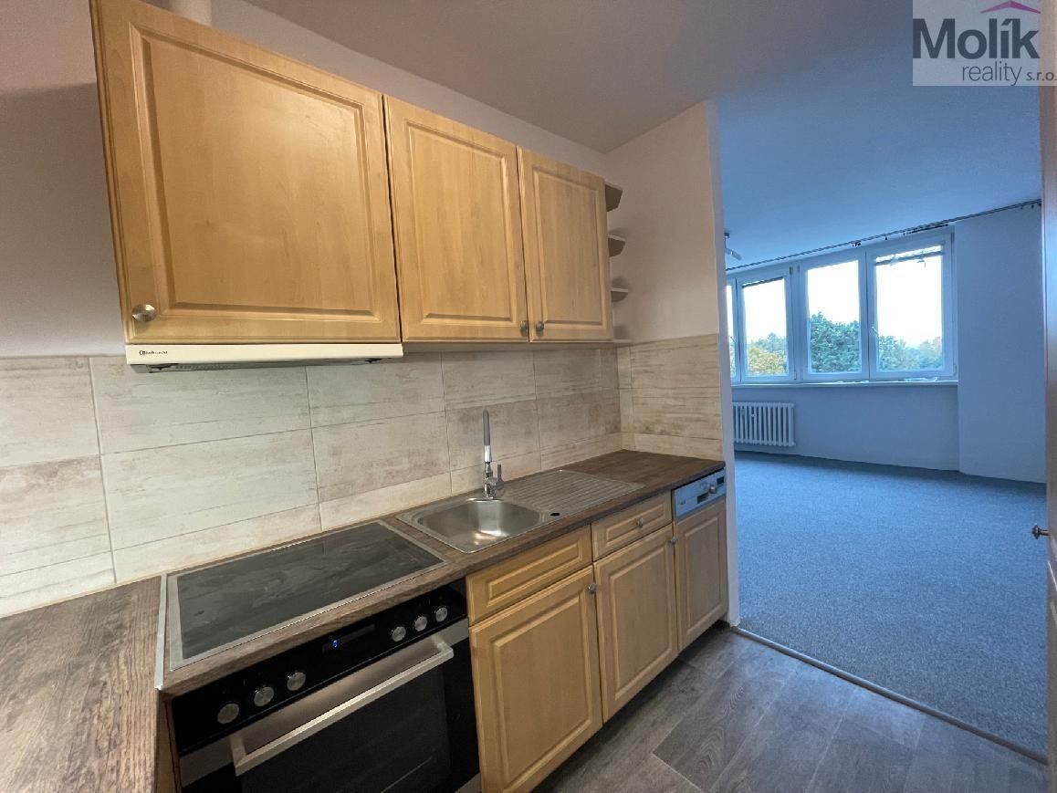 Pronájem byt 3+kk - U Zámeckého parku, Litvínov, 58 m²