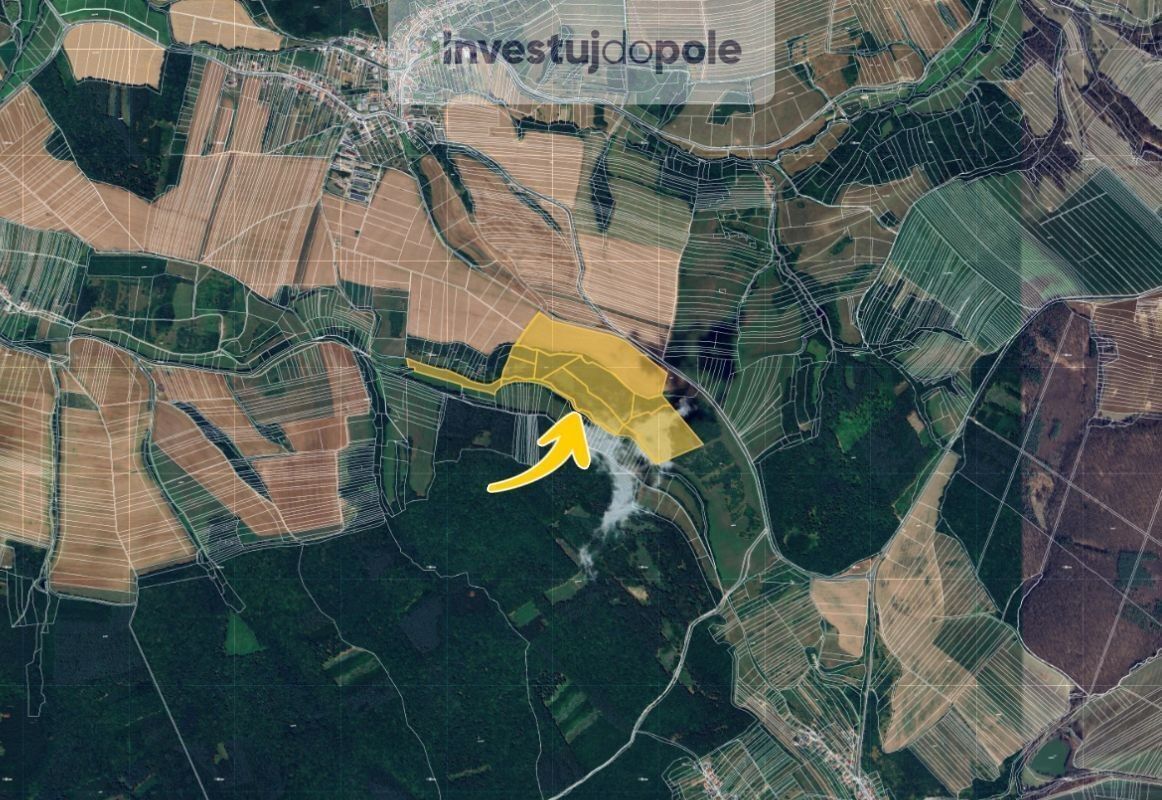 Prodej louka - Částkov, 1 668 m²