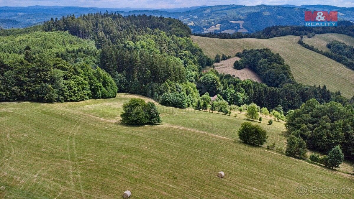 Prodej zemědělský pozemek - Valašská Polanka, 756 11, 14 409 m²