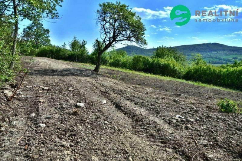 Prodej zahrada - Velemín, 1 600 m²