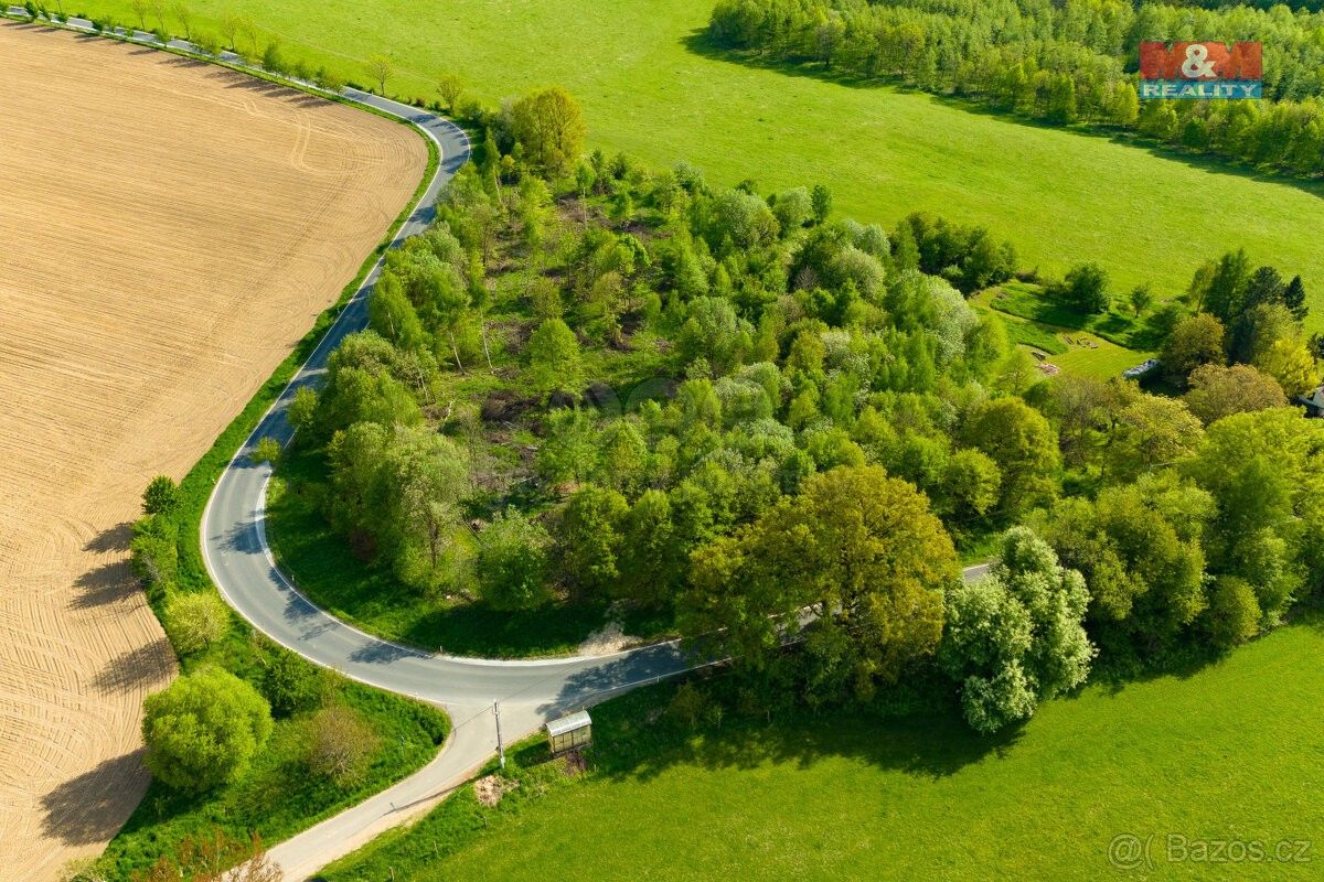 Prodej zemědělský pozemek - Mikulovice u Jeseníku, 790 84, 4 228 m²