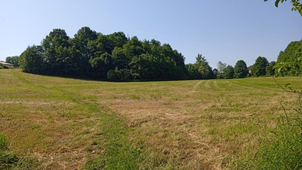 Ostatní, Petřvald u Karviné, 735 41, 19 320 m²
