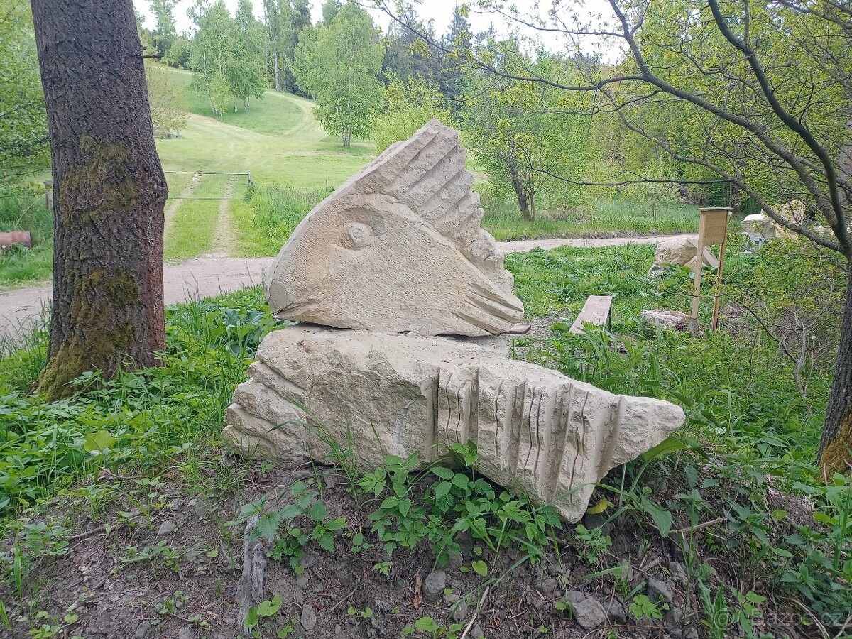 Prodej louka - Zlatá Olešnice, 468 47, 22 000 m²