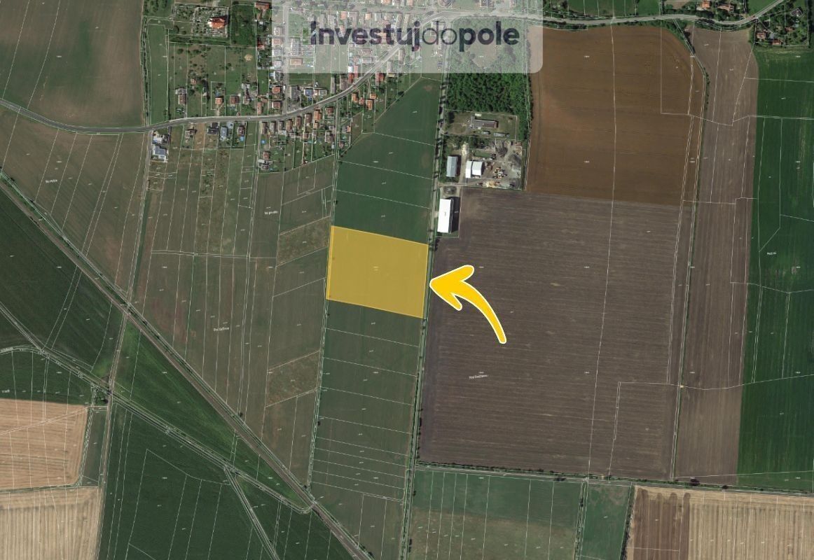 Prodej zemědělský pozemek - Sýčina, Dobrovice, 4 058 m²