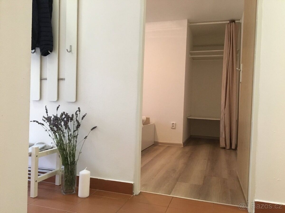 Pronájem byt 2+1 - Praha, 109 00, 45 m²