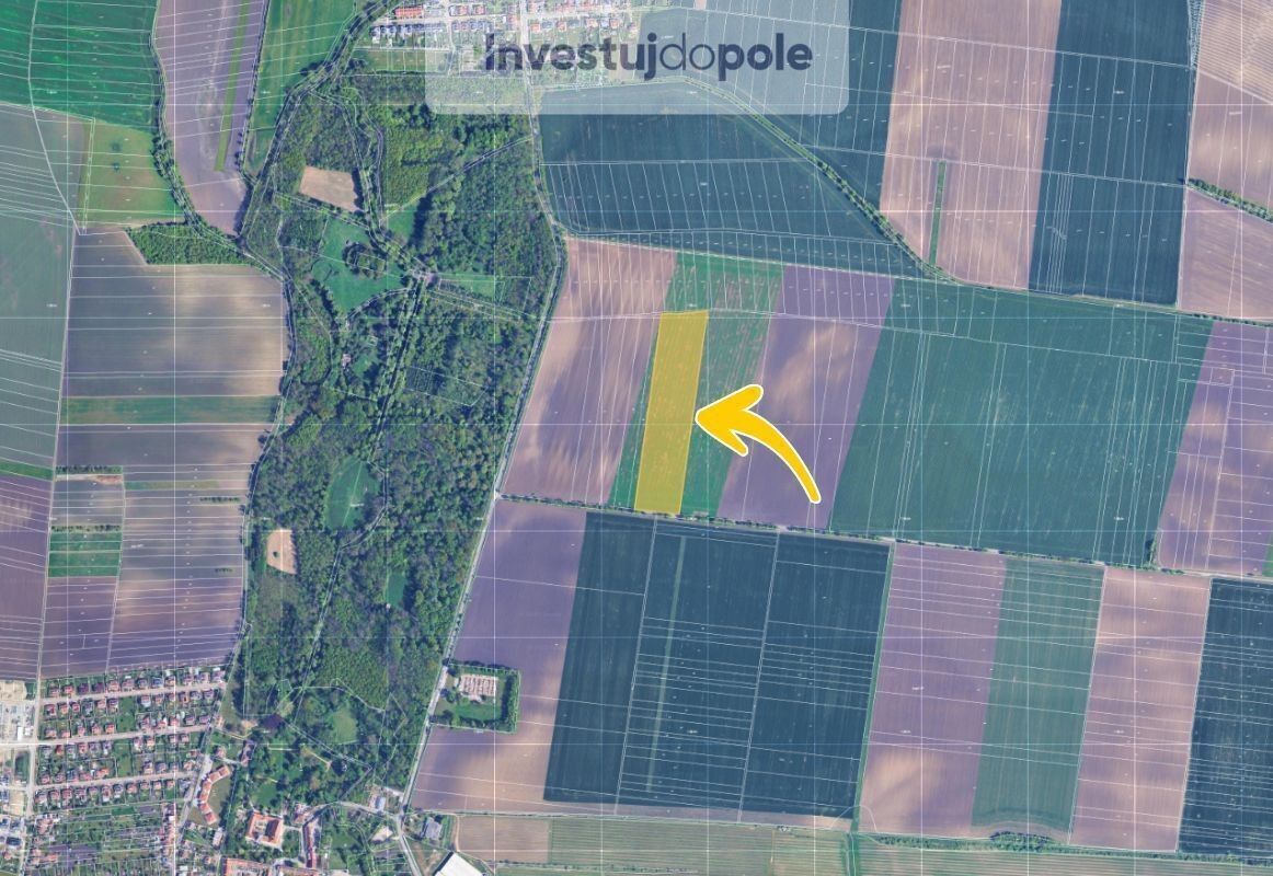 Prodej zemědělský pozemek - Sokolnice, 31 775 m²