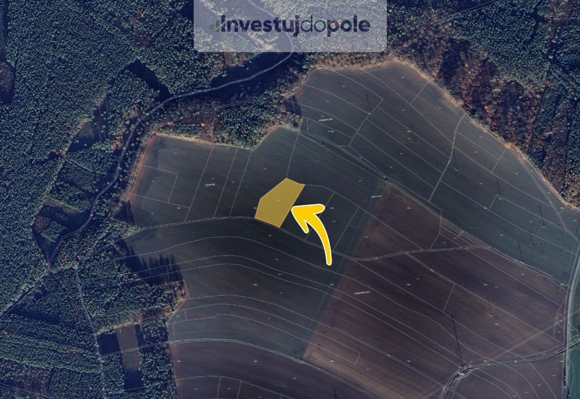 Prodej zemědělský pozemek - Bítouchov, 8 228 m²
