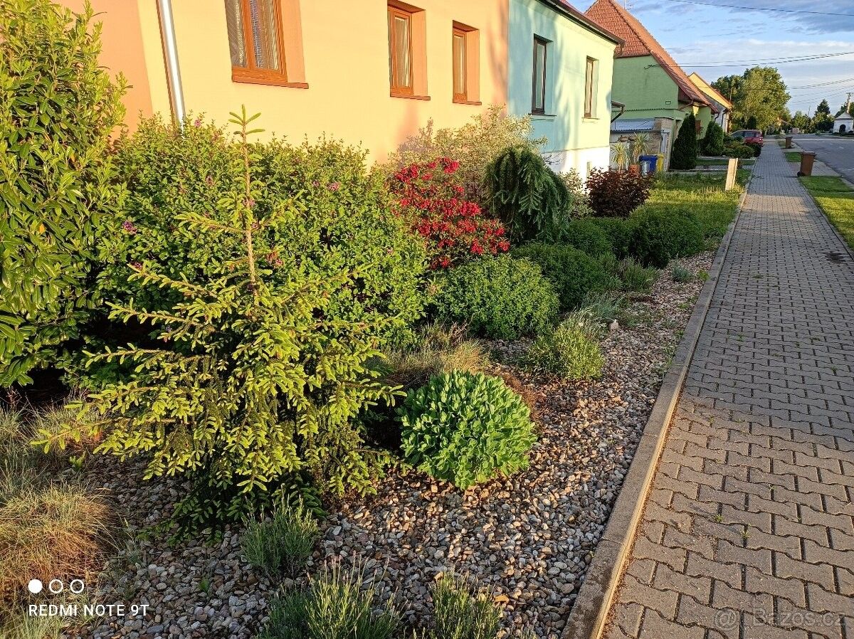 Ostatní, Novosedly na Moravě, 691 82, 21 m²