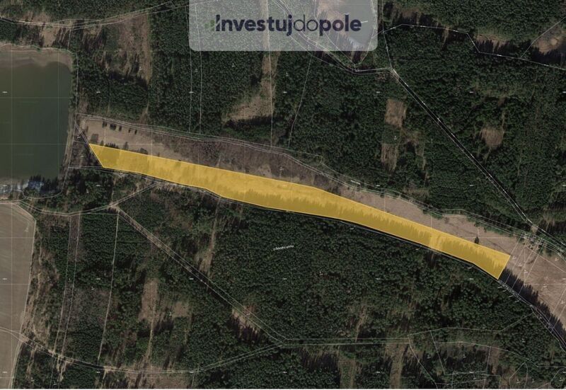 Louky, Mariánské Lázně, 353 01, 40 954 m²