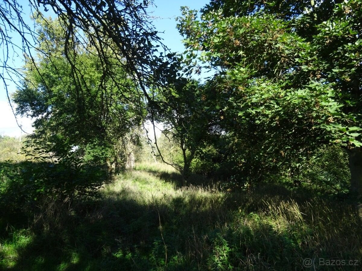 Prodej pozemek - Žatec, 438 01, 1 239 m²