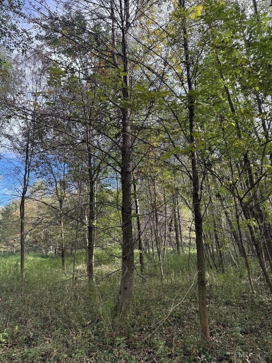 Ostatní, Bohumín, 735 81, 1 009 m²