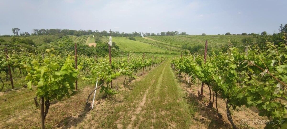 Ostatní, Dolní Bojanovice, 696 17, 1 103 m²