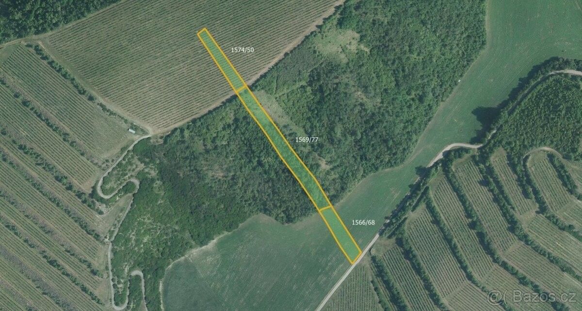 Prodej zemědělský pozemek - Nosislav, 691 64