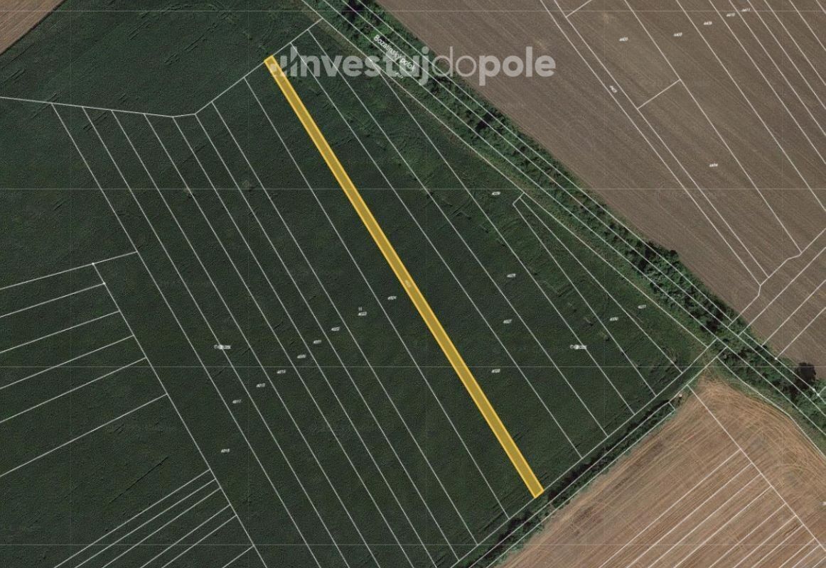Zemědělské pozemky, Louka, 1 544 m²