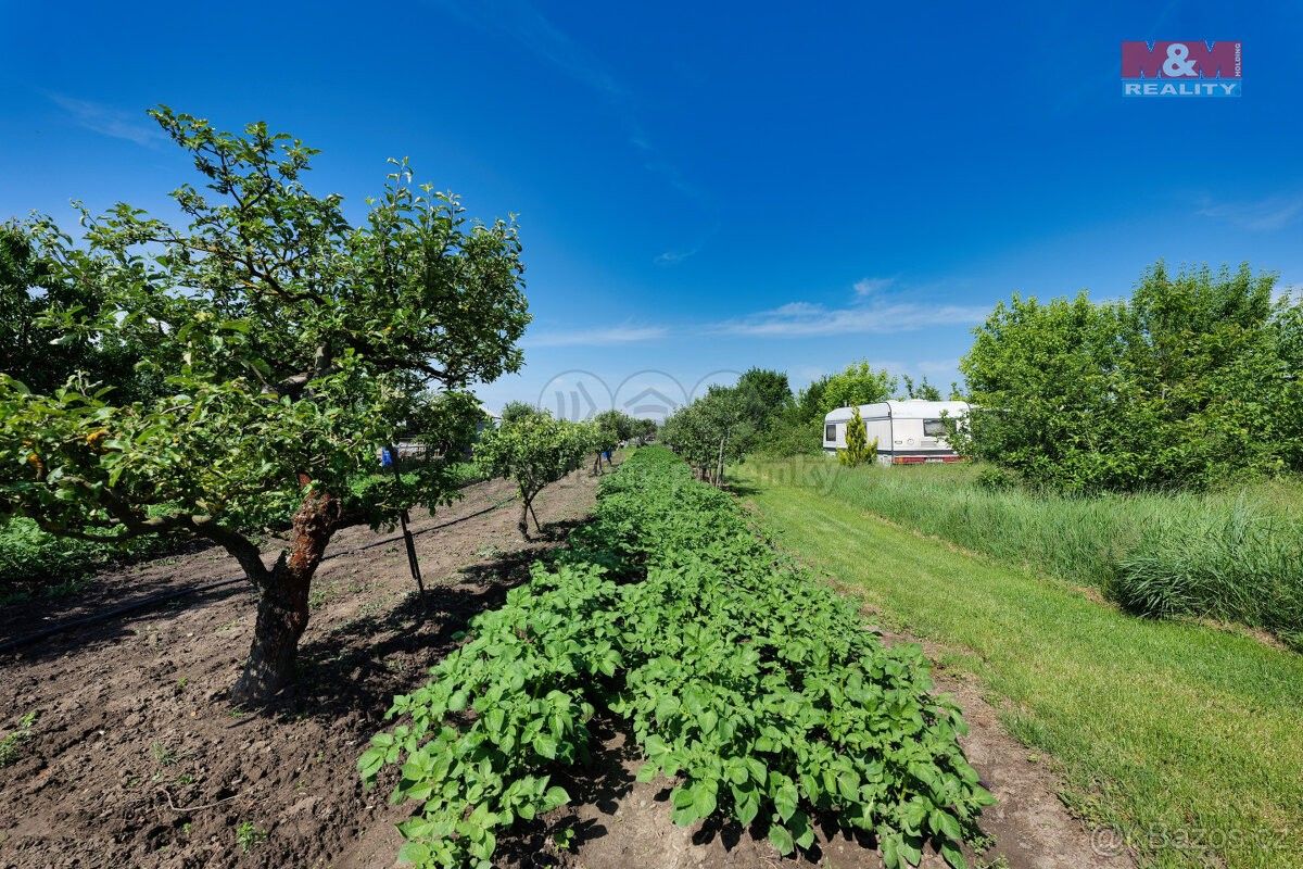 Zahrady, Němčice nad Hanou, 798 27, 1 810 m²