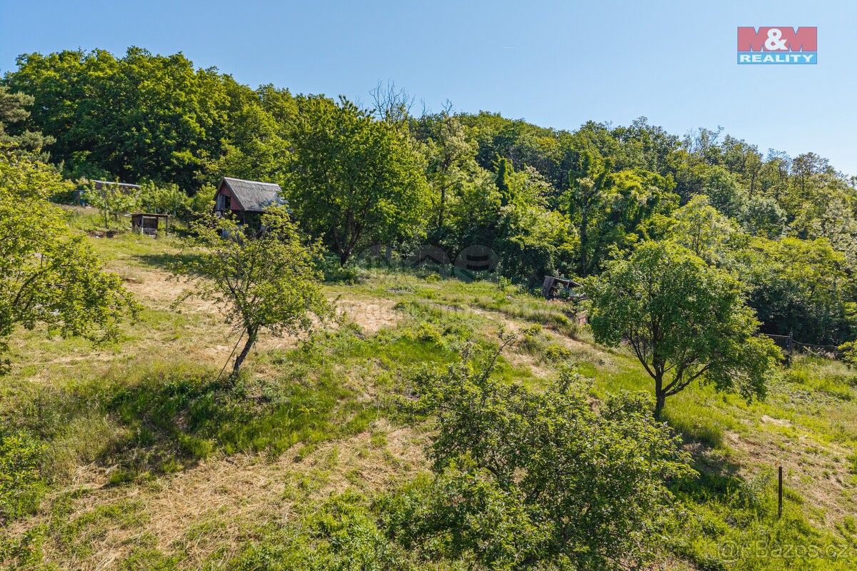 Prodej zahrada - Krabčice u Roudnice nad Labem, 411 87, 1 705 m²