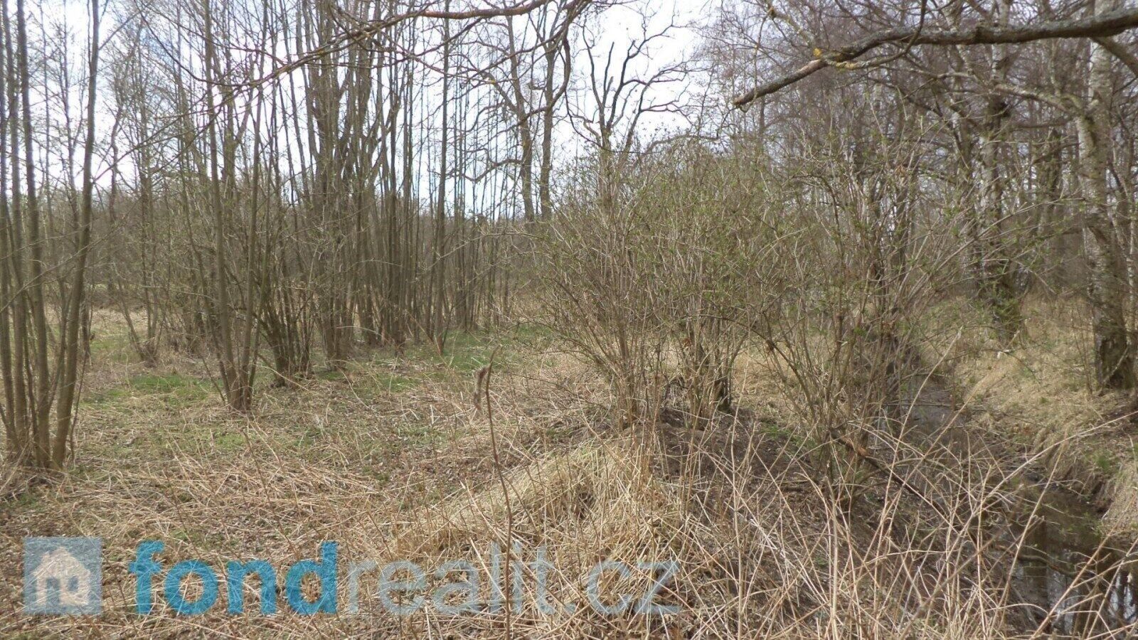 Ostatní, Lutová, Chlum u Třeboně, 19 035 m²