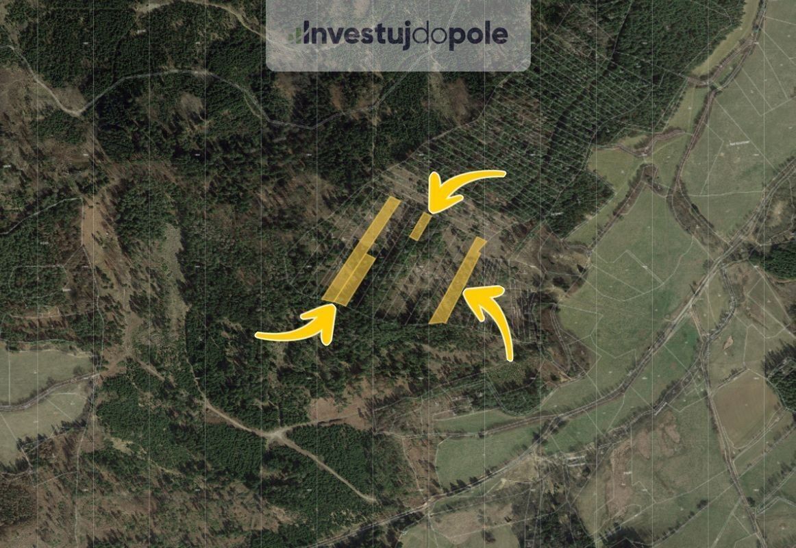 Prodej les - Zálezly, 10 939 m²