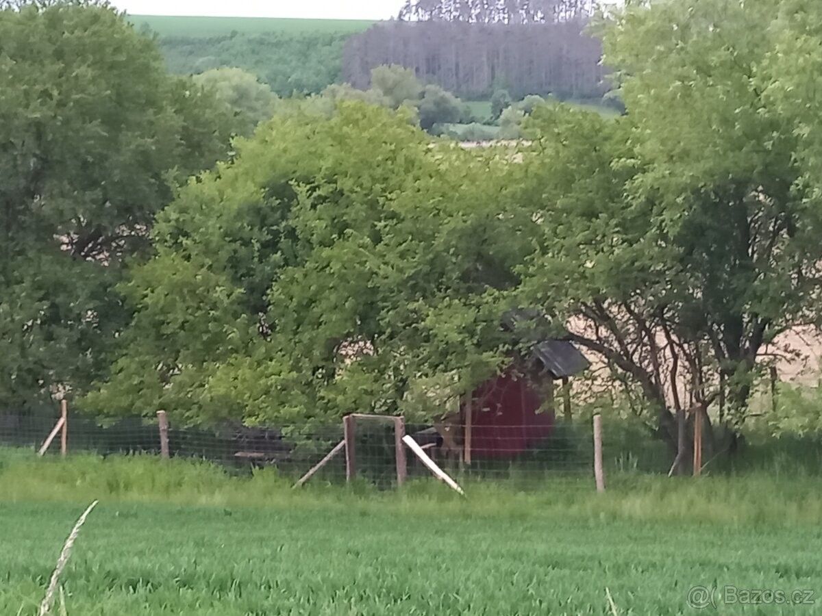 Zahrady, Kroměříž, 767 01