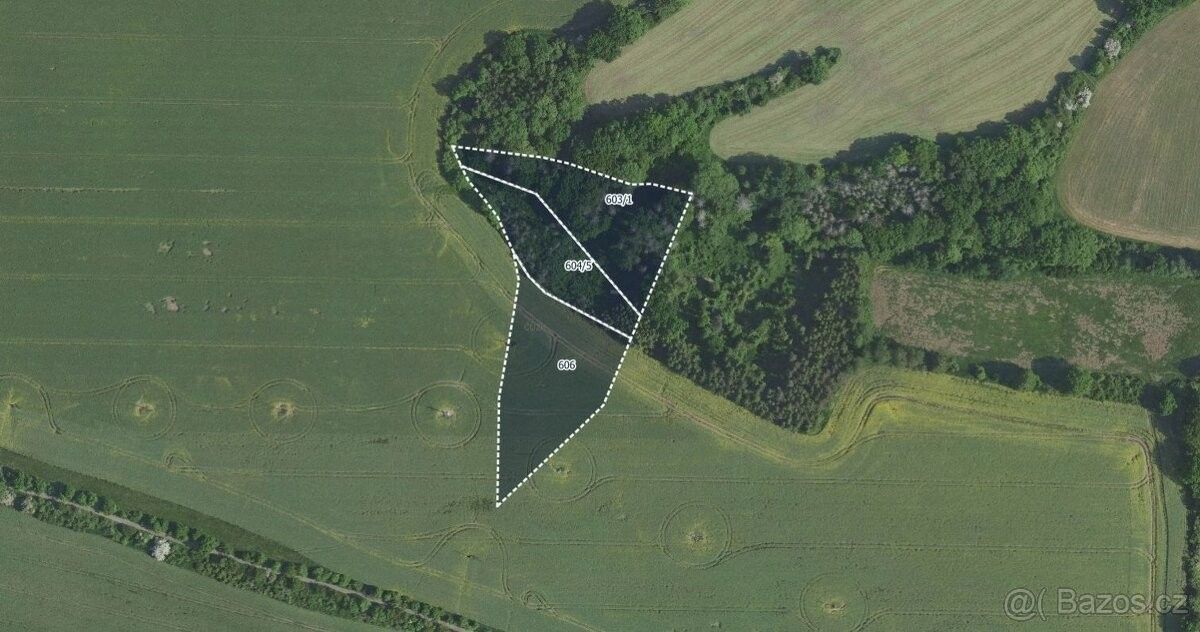 Prodej zemědělský pozemek - Kostelec nad Černými Lesy, 281 63
