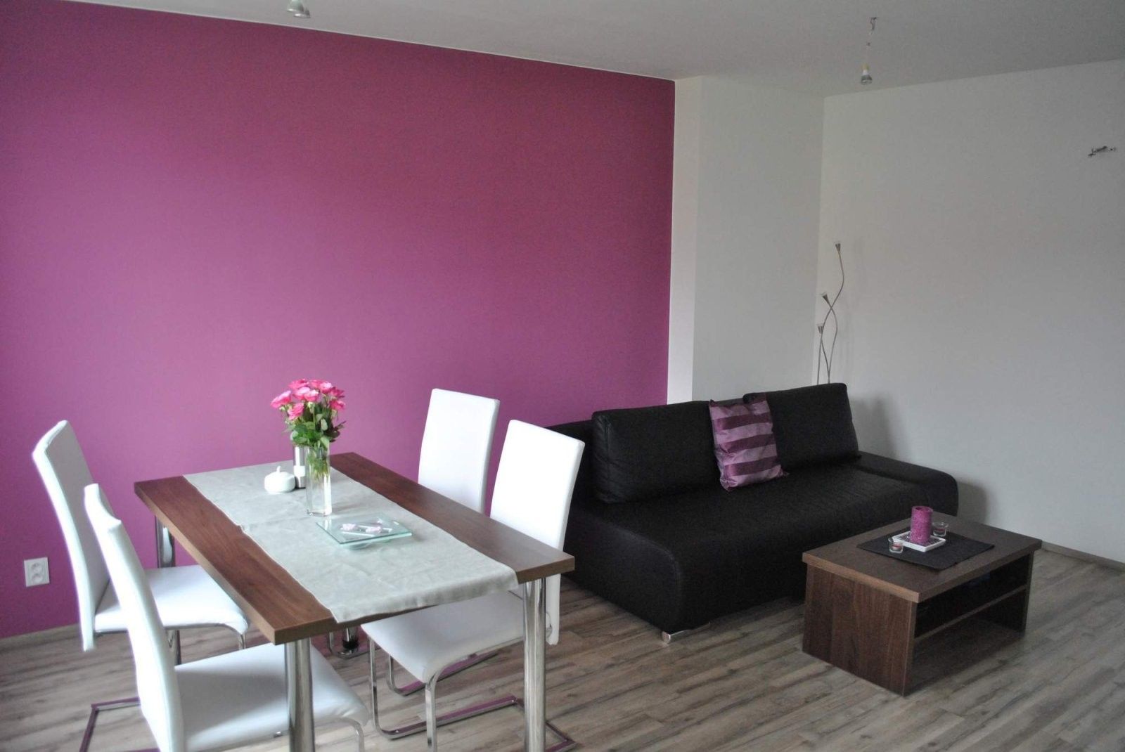 1+kk, Aloisina výšina, Liberec, 26 m²