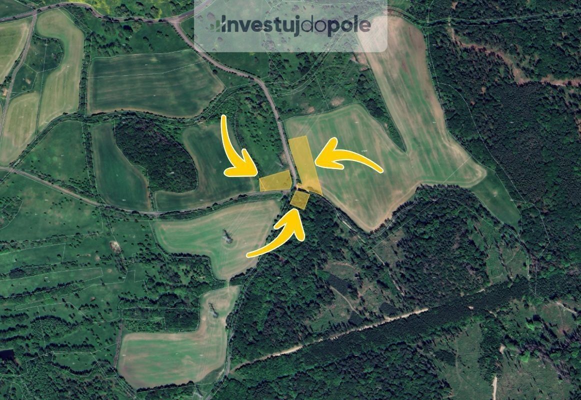 Prodej zemědělský pozemek - Razice, Hrobčice, 10 700 m²