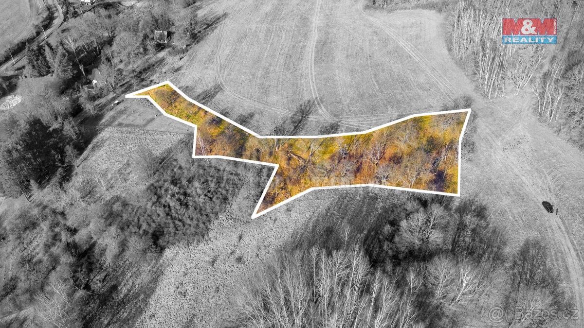 Prodej louka - Česká Lípa, 470 02, 3 251 m²