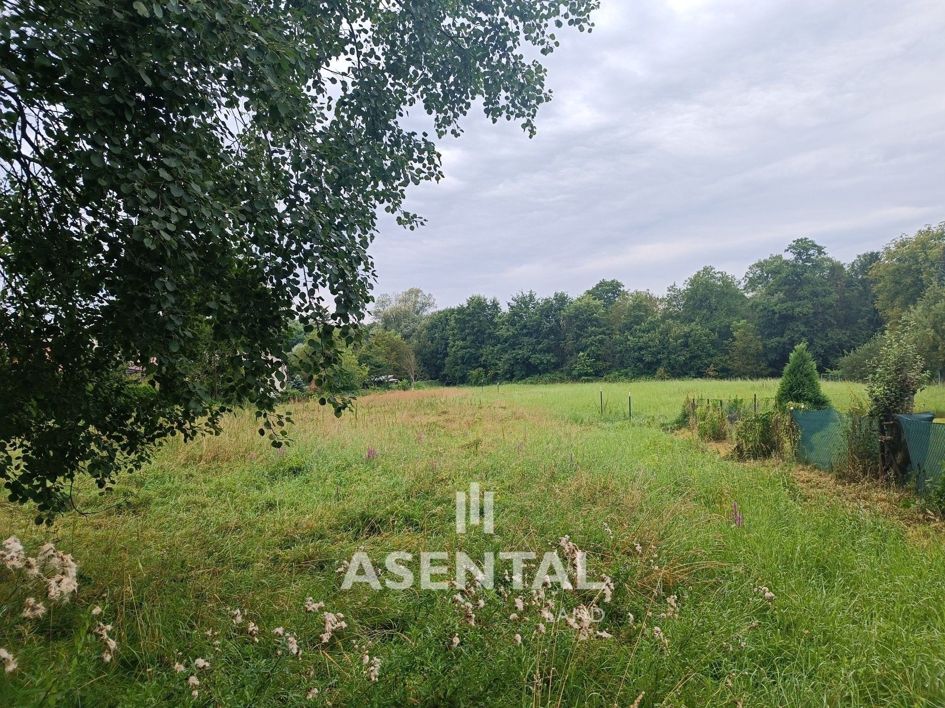Ostatní, Lidická, Orlová, 3 695 m²