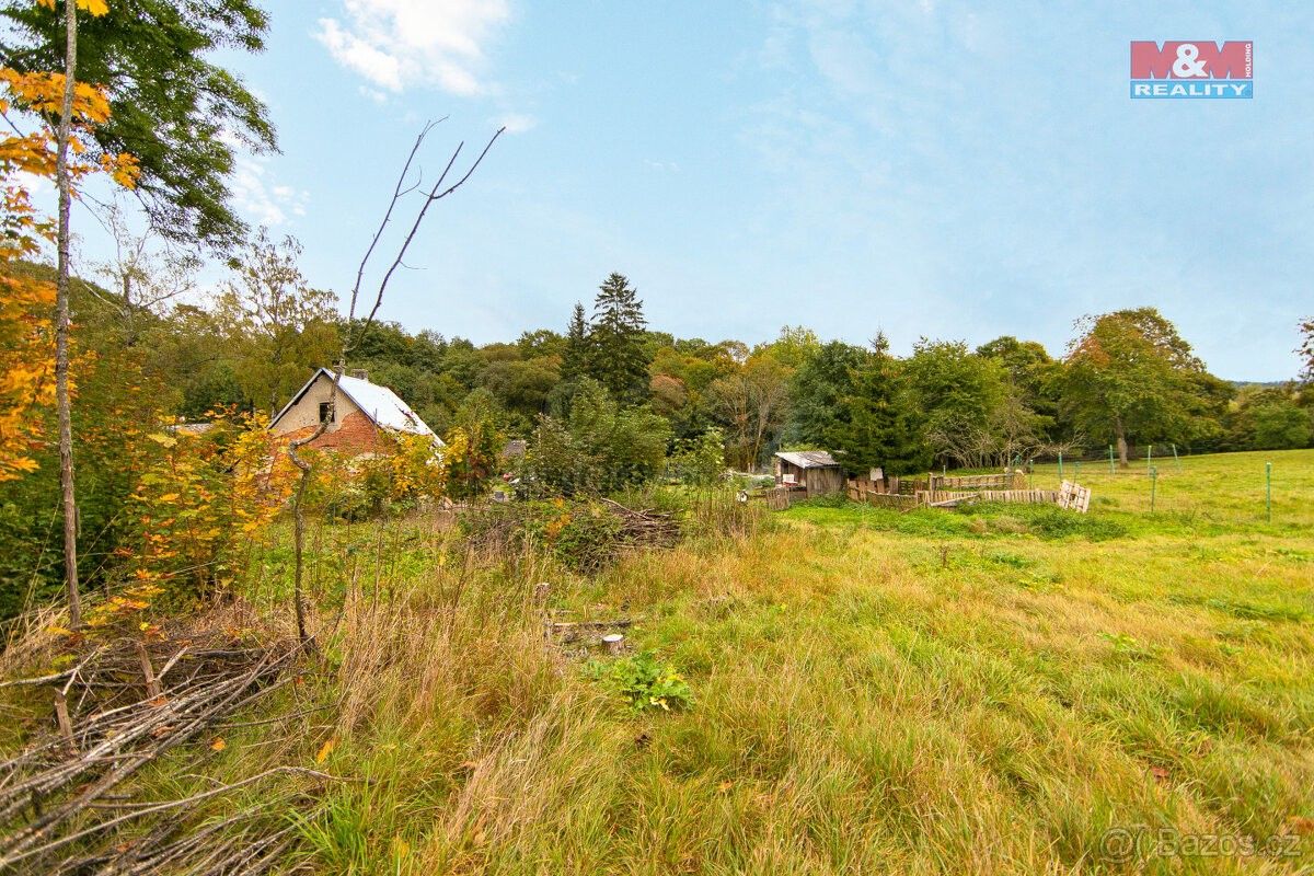 Prodej zahrada - Skalná, 351 34, 602 m²